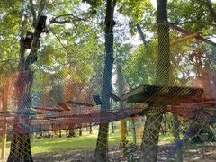 -东南花都花博园