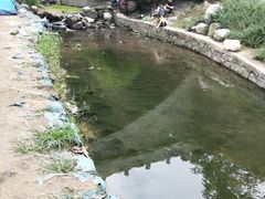 -白水寺森林公园
