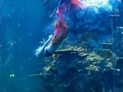 -青岛嘉年华主题乐园