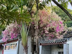 -深圳国际园林花卉博览园