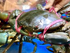 -喜记避风塘炒辣蟹(旗舰店)