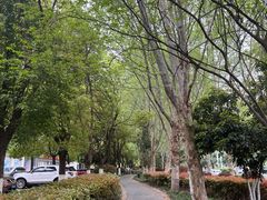 -颐和路民国时期公馆风貌区