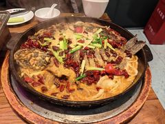 -老板恋上鱼(印象城店)
