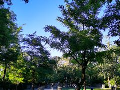 -元大都城垣遗址公园