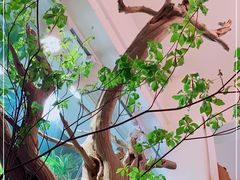 -花二家·生活馆(六运小区店)