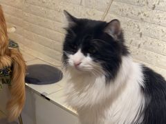 -平行世界·猫咖(首经贸店)
