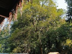 -终南山南五台景区