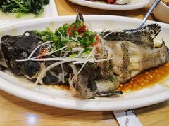 清蒸老虎斑-南海渔家•海鲜•正宗海南菜(海棠湾店)