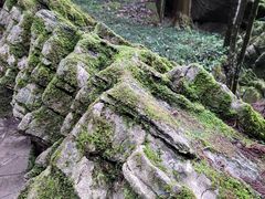 -梭布垭石林景区