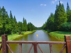 -黄海国家森林公园