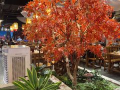 -杨记隆府重庆江湖菜(大悦城店)