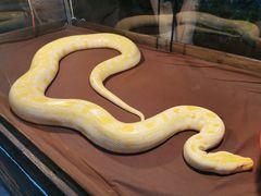 -波塞冬旅游度假区