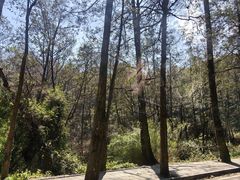 -苍山感通索道