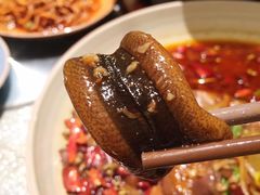 -华豫川酒家(大卫城店)