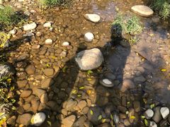 -聚龙山公园