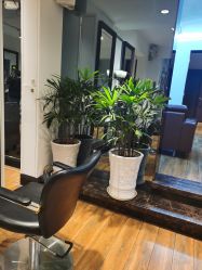 -印·Style造型创始店