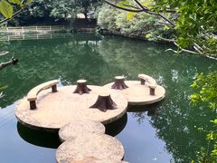 -广州市帽峰山景区