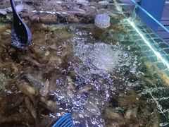 -聚盛源蒸汽海鲜火锅烤肉自助(巨川金海岸购物广场店)