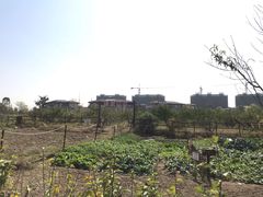 -田园东方蜜桃村的田野营地
