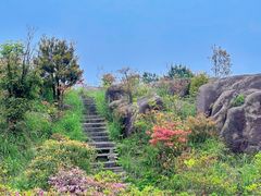-玉苍山国家森林公园