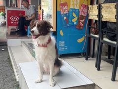 -怪老头甜不辣(抚琴小区店)