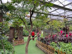 -呀路古热带植物园
