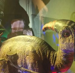 -恐龙探索乐园(磁器口店)