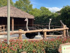 -上海野生动物园