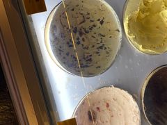 -牛New寿喜烧(金鹰世界店)