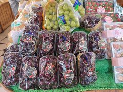 -百果园PAGODA(中铭豪园店)