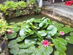 -金堂县云顶石城风景区