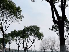 -漕湖湿地公园