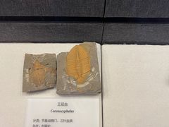 -贵州省地质博物馆