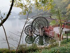 -重庆彩云湖湿地公园