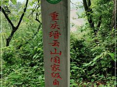 -缙云山景区