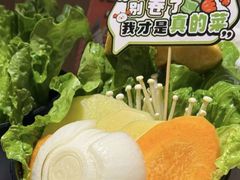 -猫抓烤肉(春熙路店)