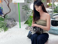 -帕帕拉兹宠物(亚洲旗舰店)