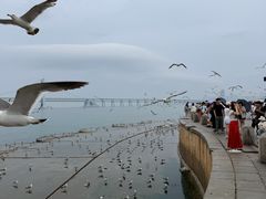 -星海广场