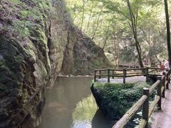 -牛背梁国家森林公园