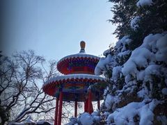 -高尔山公园