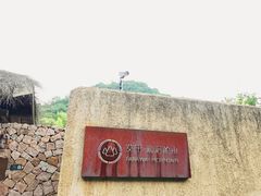 -看见远方·莫干遥远的山民宿