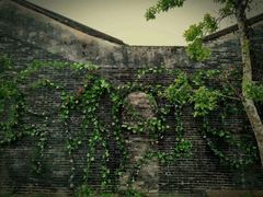 -三溪村