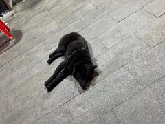 -回头烧烤(悦荟购物中心店)
