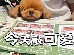 -派多格宠物(御景湾店)