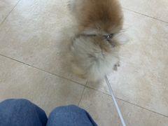 -宠福鑫动物医院·动物疾病诊疗中心(天通苑店)