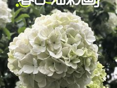 -杭州城北体育公园