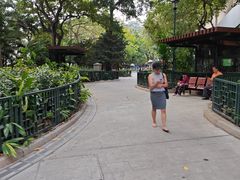 -香港佐治五世纪念公园