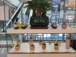 -欧扬医疗美容