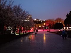 -大雁塔北广场音乐喷泉