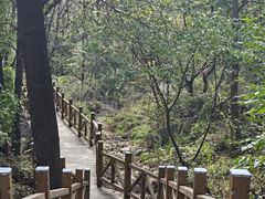 -大岭沟猕猴桃谷风景区